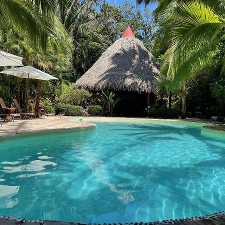 Hotel El Pequeno Gecko Verde Sámara Kültér fotó