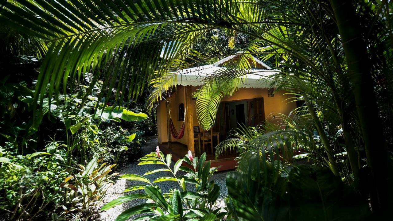 Hotel El Pequeno Gecko Verde Sámara Kültér fotó