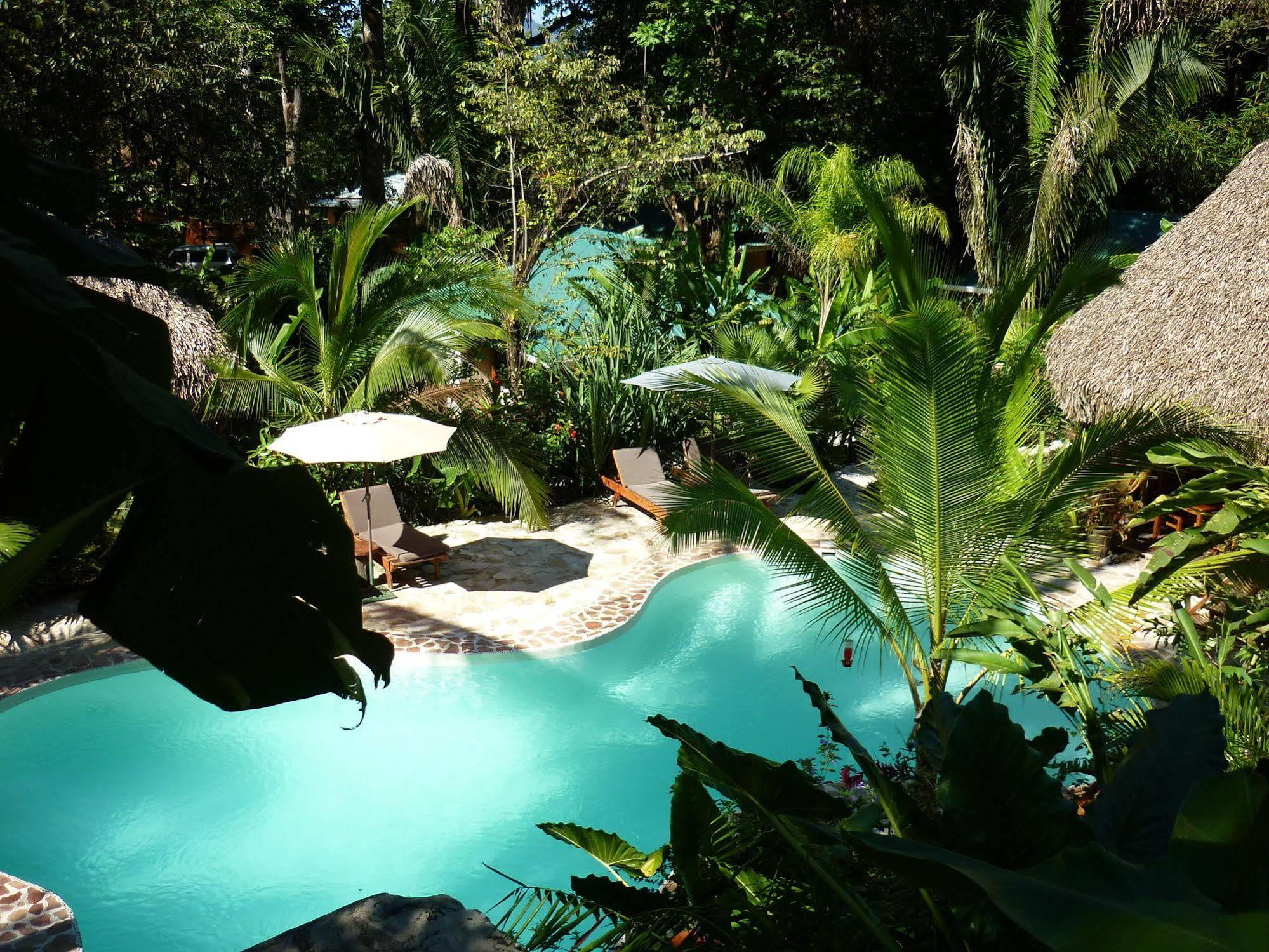 Hotel El Pequeno Gecko Verde Sámara Kültér fotó