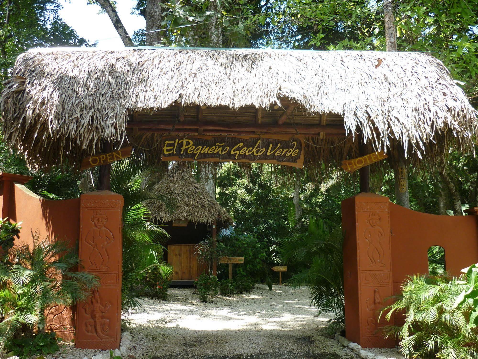 Hotel El Pequeno Gecko Verde Sámara Kültér fotó