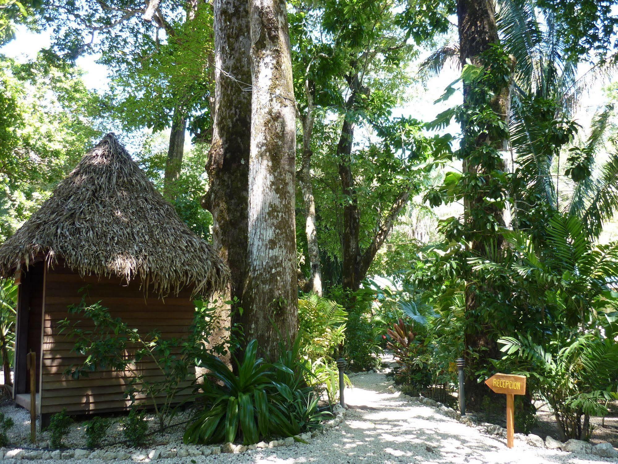 Hotel El Pequeno Gecko Verde Sámara Kültér fotó