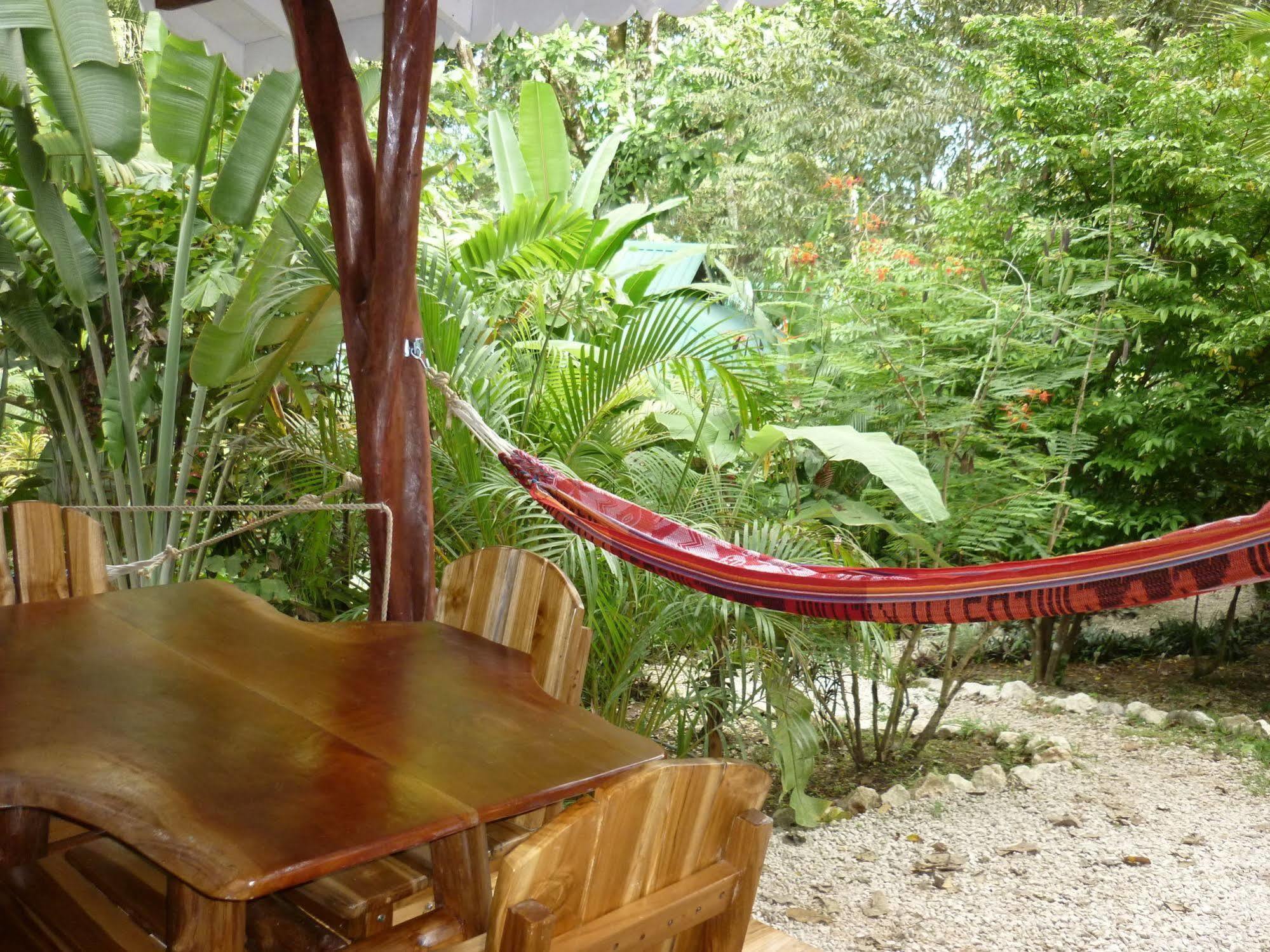 Hotel El Pequeno Gecko Verde Sámara Kültér fotó