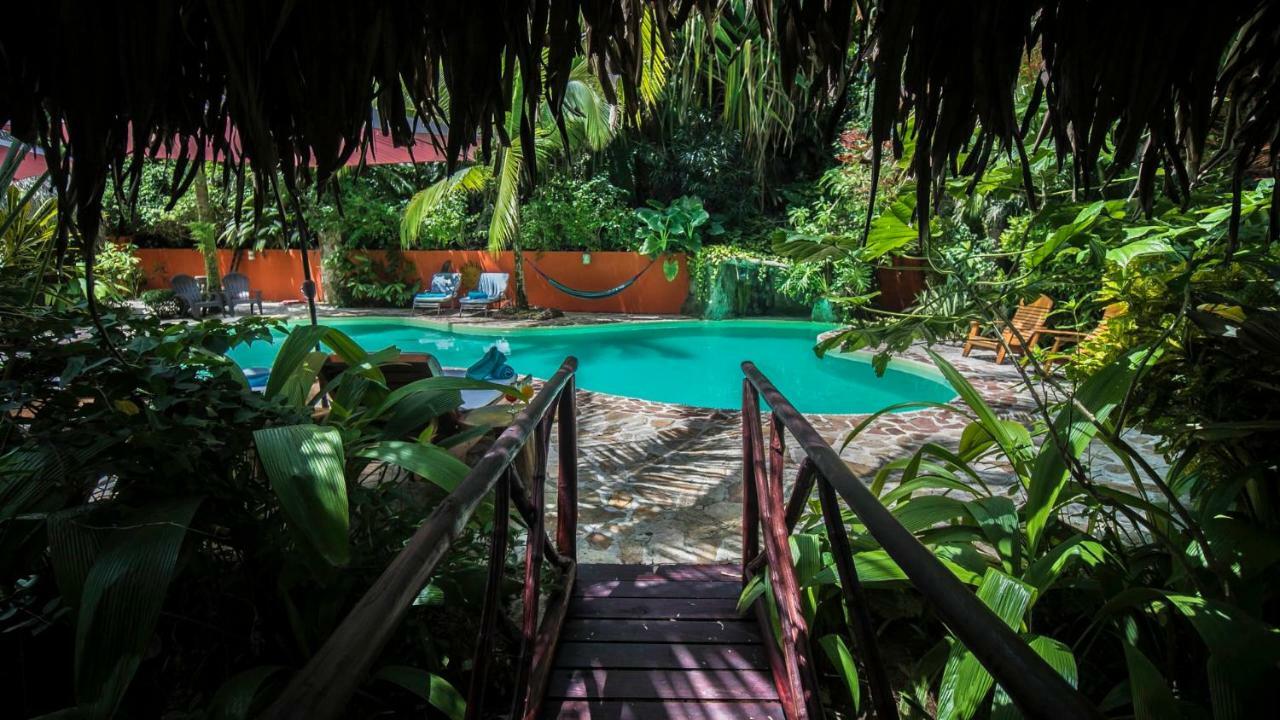Hotel El Pequeno Gecko Verde Sámara Kültér fotó