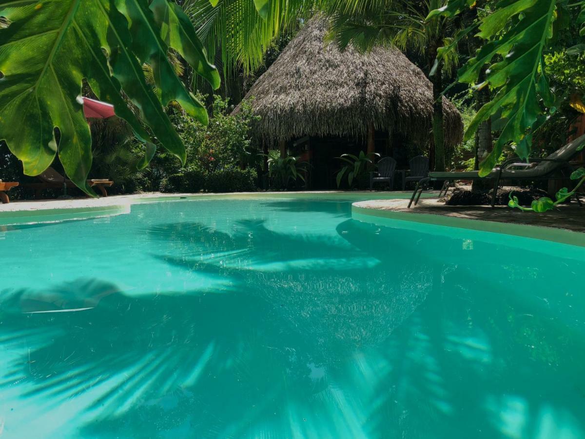 Hotel El Pequeno Gecko Verde Sámara Kültér fotó